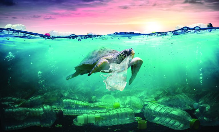EUA investem na retirada de plástico para limpeza dos oceanos