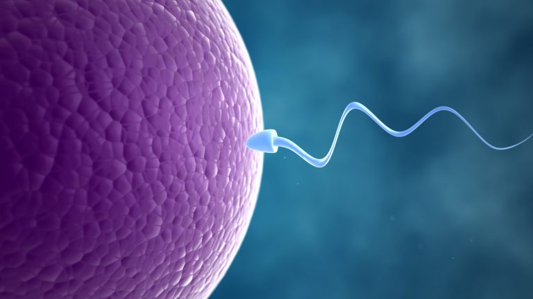 1 in 6 people globally affected by infertility