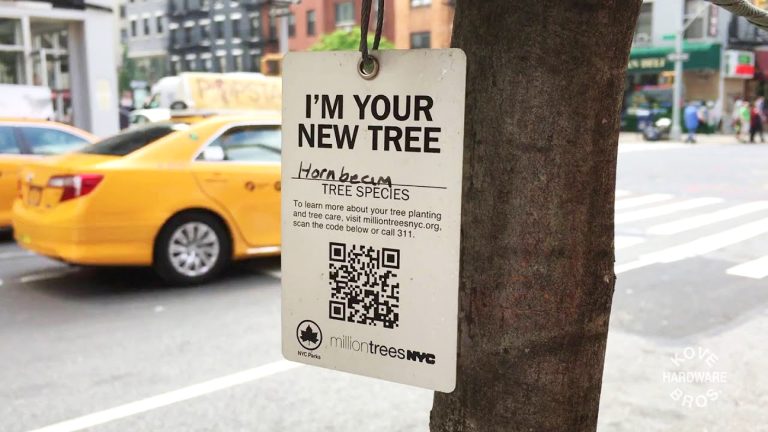 A Cidade De Nova York Anuncia Maior Plantação De Árvores Dos Últimos 6 Anos