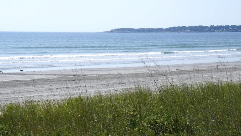 Mais Da Metade Das Praias Nos EUA Estão Impróprias Para Nadar, Aponta Estudo