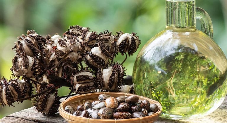 “Castor Oil” Caiu No Gosto Popular. Mas Será Que Tem Mesmo Tantos Benefícios?