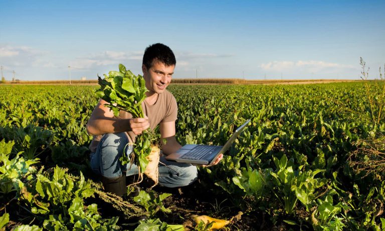 Survey: Farmers Have Seen Large Impacts Of Climate Change On Their Farm