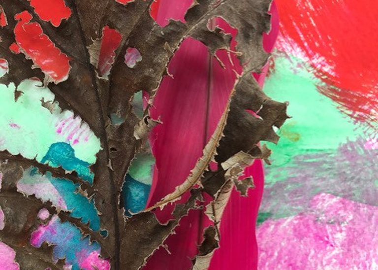 “Healing Leaves: The Myth Of The Orisha Ossanhe” By Luzia Castaneda