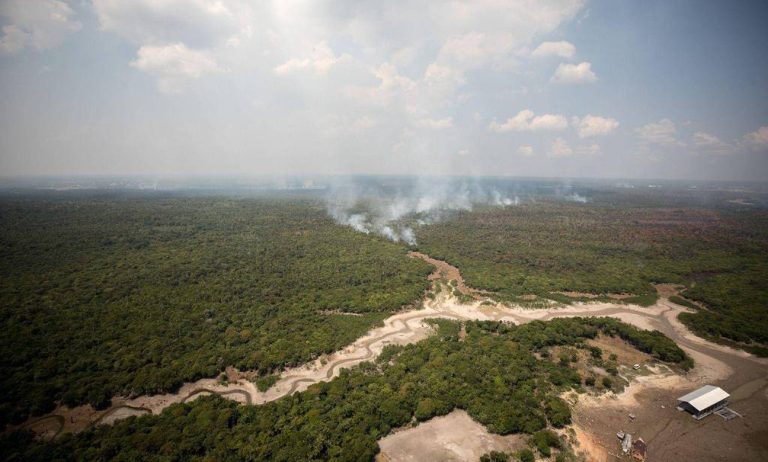 Seca Severa Coloca Amazônia À Beira Do Abismo