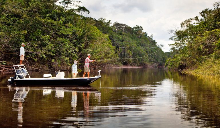 Sportfishing Destinations In Brazil