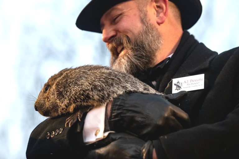 Groundhog Day: O Que A Marmota Viu?