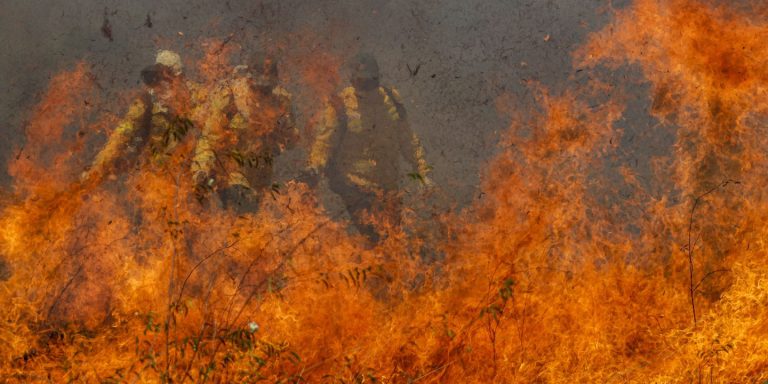 Nearly A Quarter Of Brazil’s Territory Had Wildfires In Last 40 Years