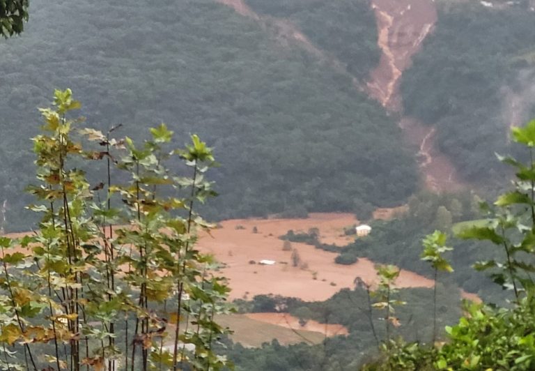 Após enchentes, Serra Gaúcha pode levar 40 anos para recuperar o solo