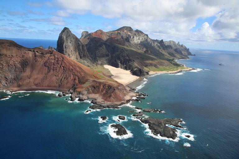 Ilha capixaba aumenta flora nativa e é modelo de restauração ambiental