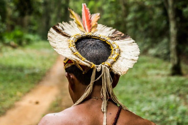 Brazilian Indigenous Researcher Maps 150 Medicinal Plants From His Territory