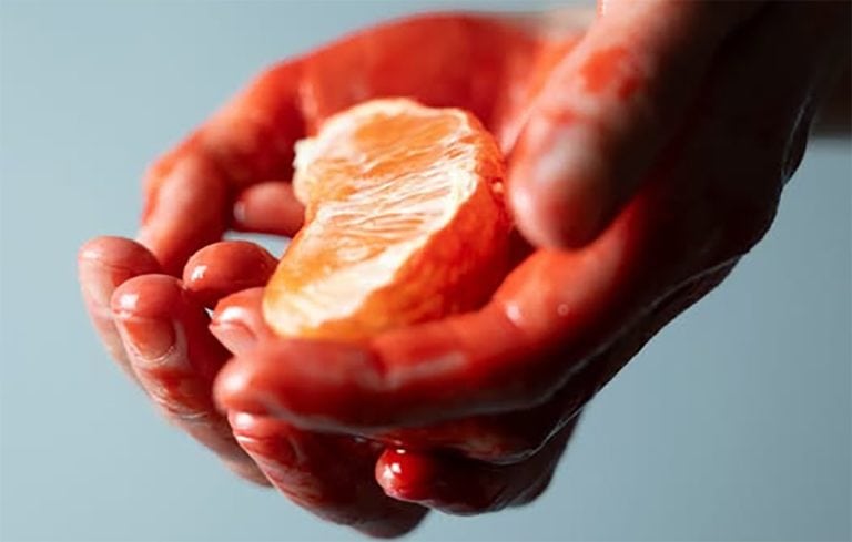 Blood Orange (Laranja Sanguínea), um drama sombrio de Abigail Duclos