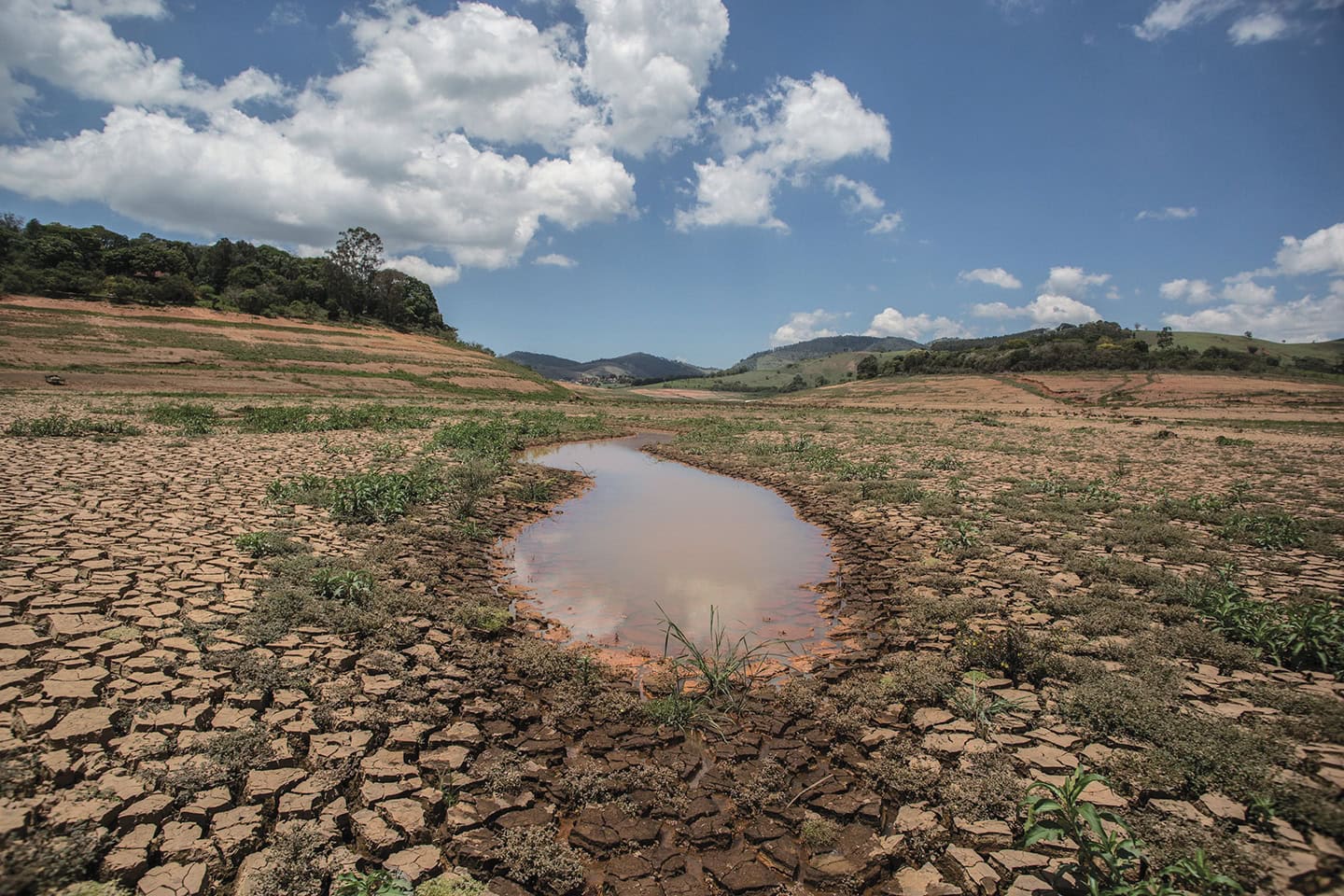 “The Sertão Region Resists Climate Change,” Says Researcher