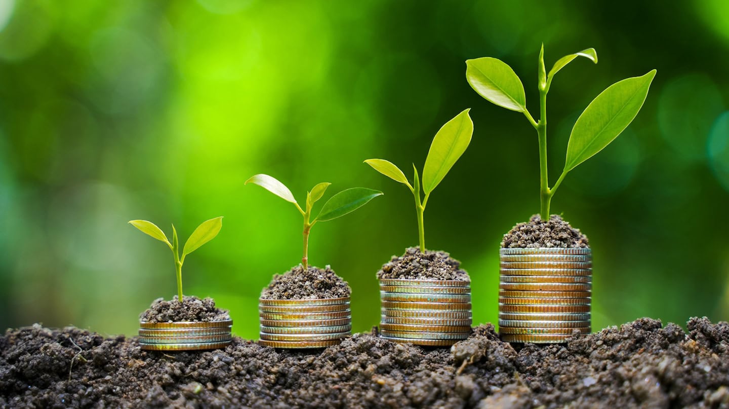 Brazil Unveils National Plan For Bioeconomy