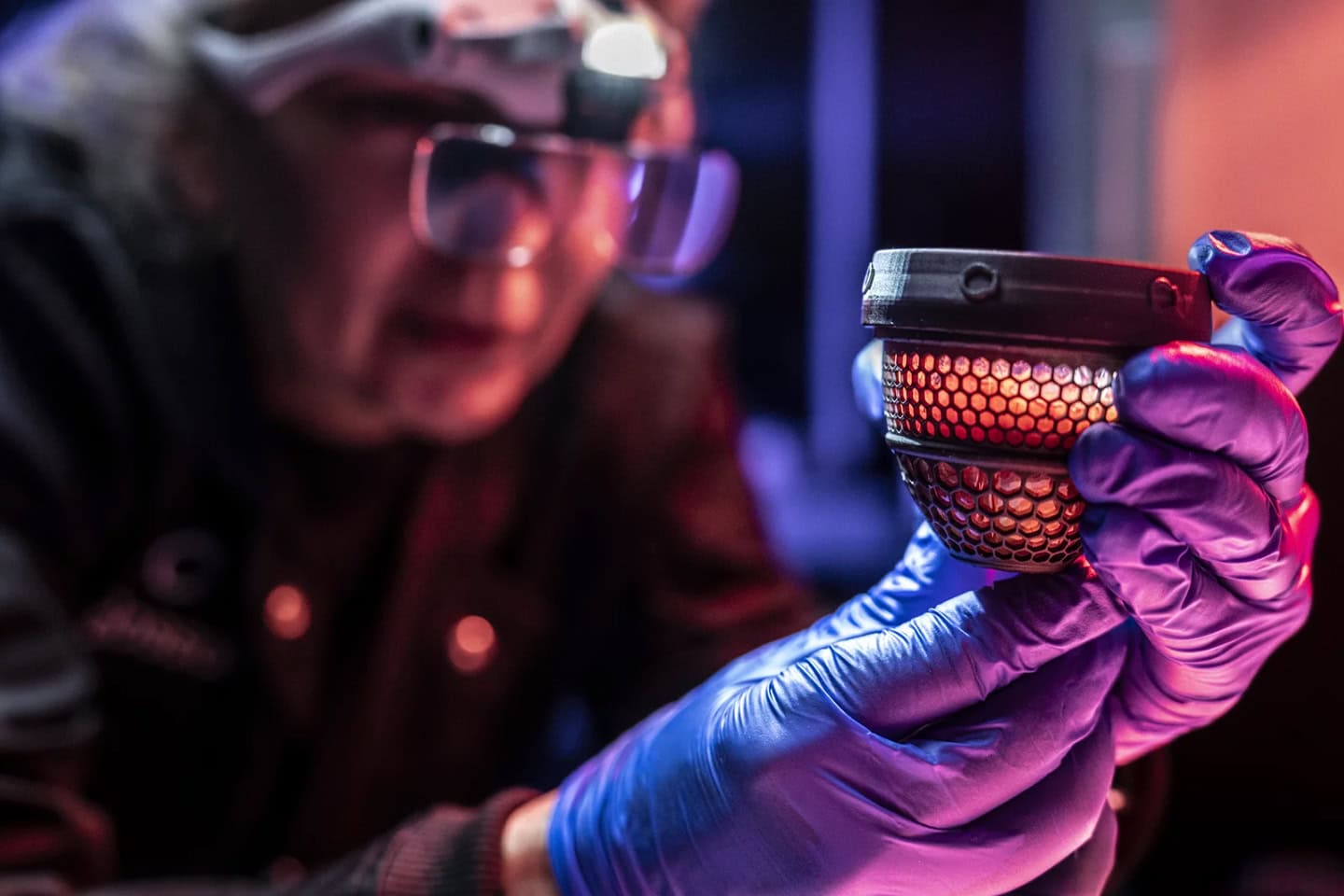 To Revive An Extinct Bird, You First Need An Artificial Egg
