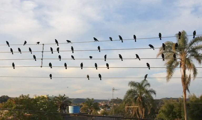 Fotografia feita há 17 anos inspira campanha vencedora do Leão de Ouro