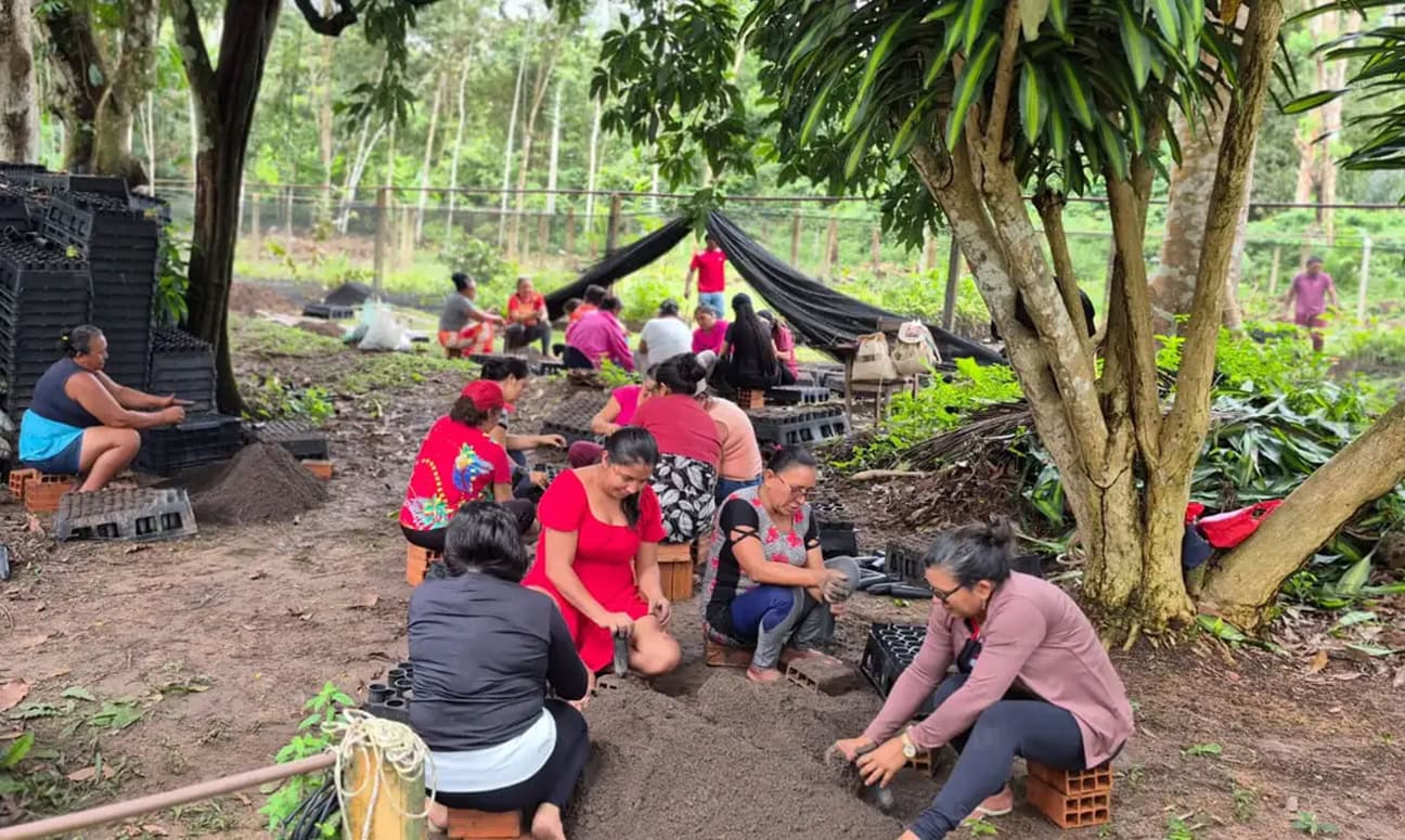 Biocosmetics Combine Science And Riverine Traditions In Amazon