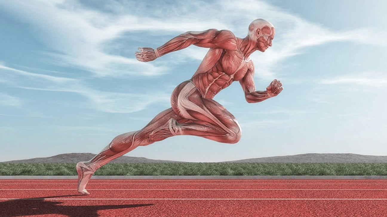 High-intensity Sprints Can Trigger Molecular Changes In The Bloodstream