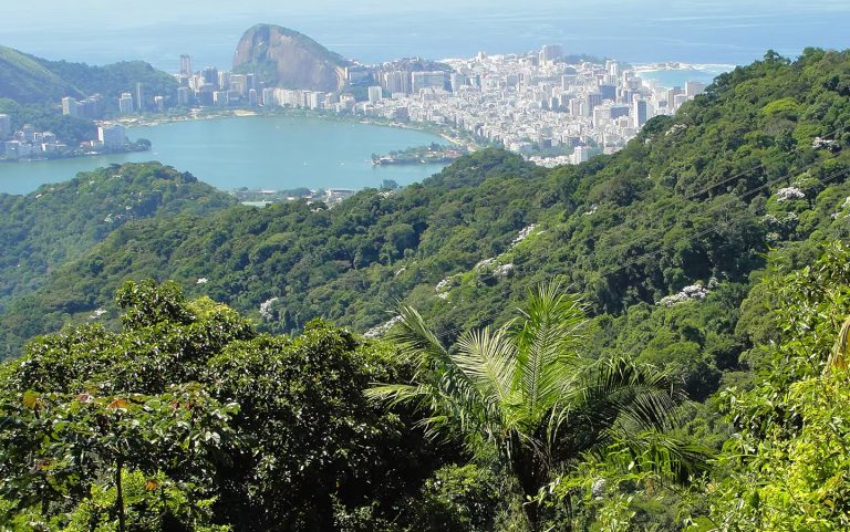 Exploring The Green Side Of Rio De Janeiro: A Vast Urban Rain Forest
